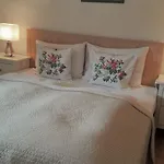 Schott Apartment Kirchberg in Tirol