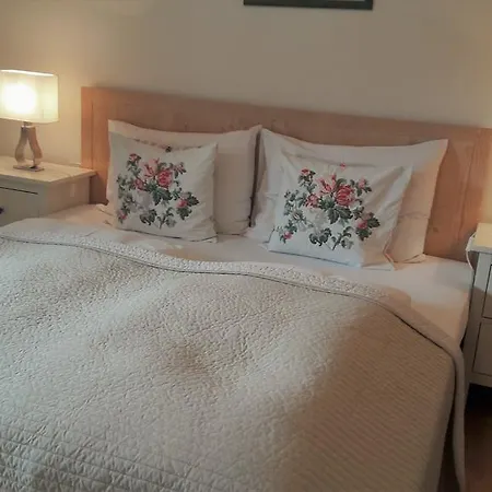 Schott Apartament Kirchberg in Tirol