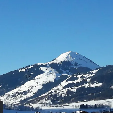 Schott Apartament